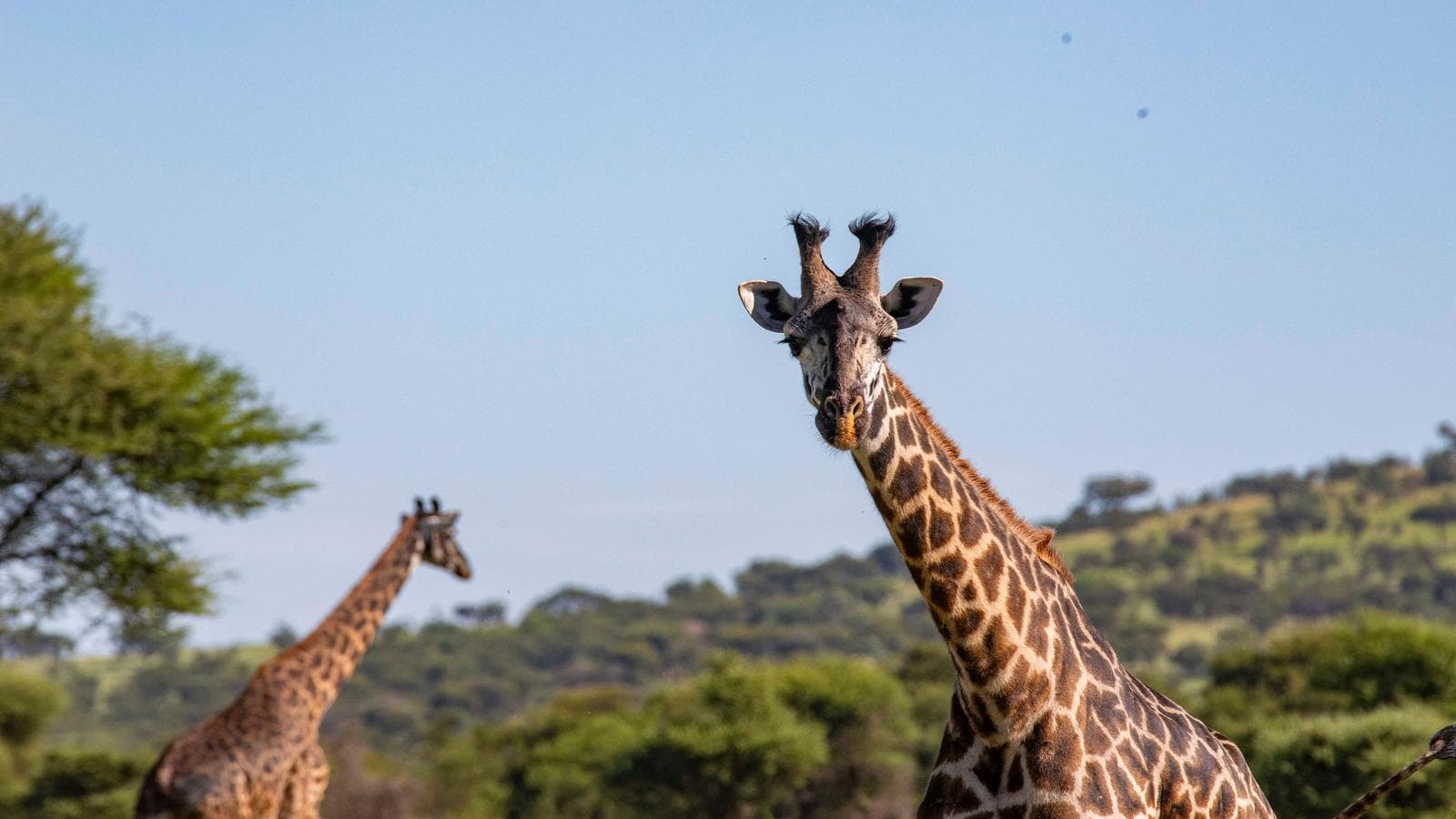 Zimbabwe to Kenya Overland Safari & Participation Camping