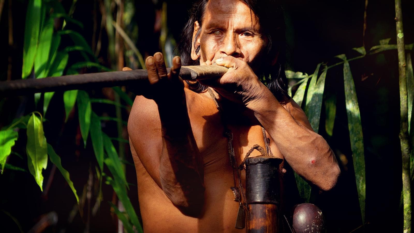 Ecuador Amazon, Hot Springs & Volcanoes