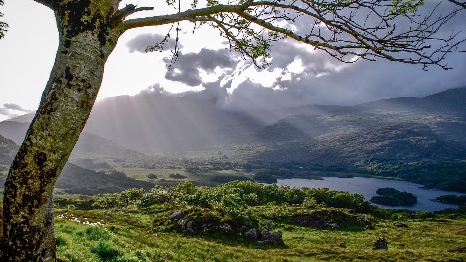 Ireland Explorer