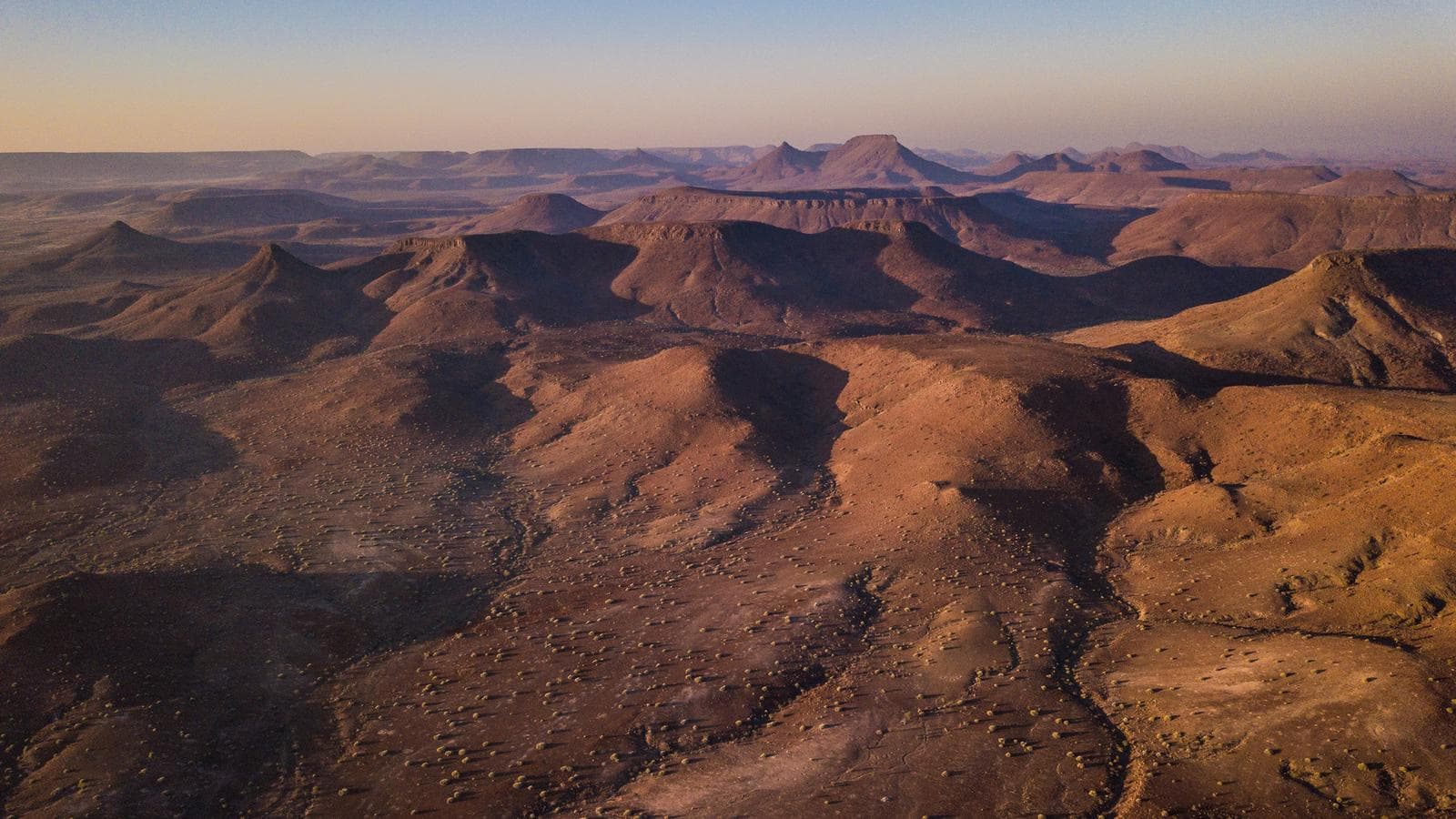 Cape and Namibia Adventure