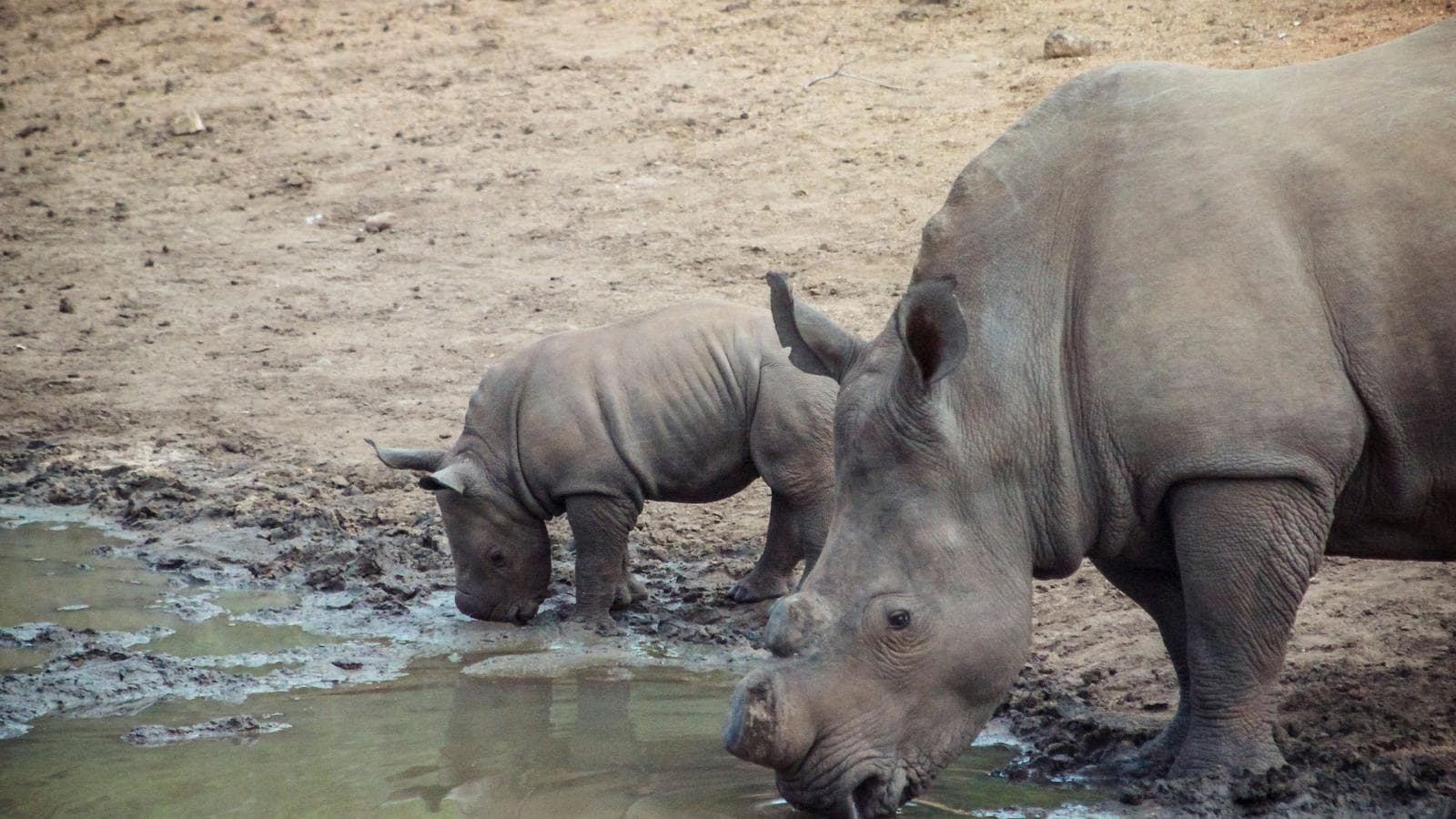 Southern Africa Overland Safari & Participation Camping
