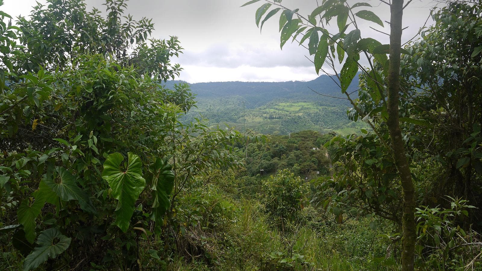 La Selva Lodge - 5 Day Independent Adventure