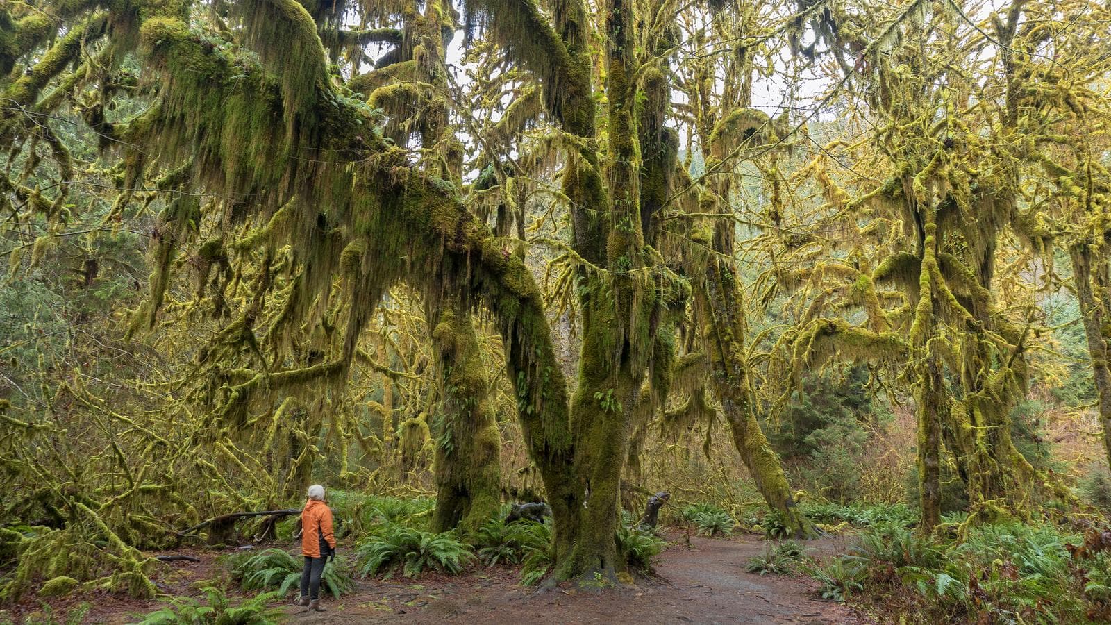 Discover the Pacific Northwest