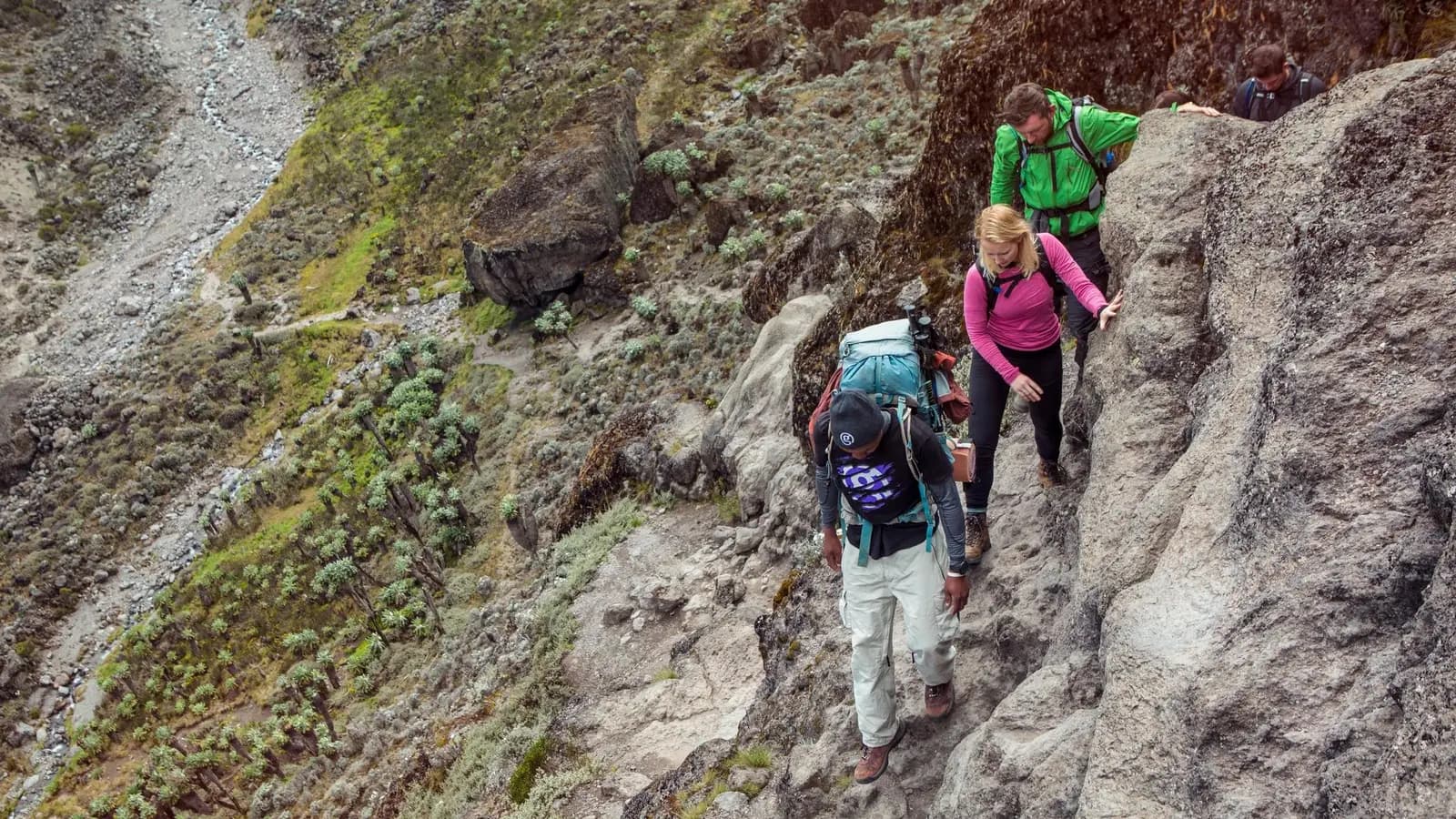 Tanzania: Kilimanjaro's Lemosho Route & Serengeti Safari