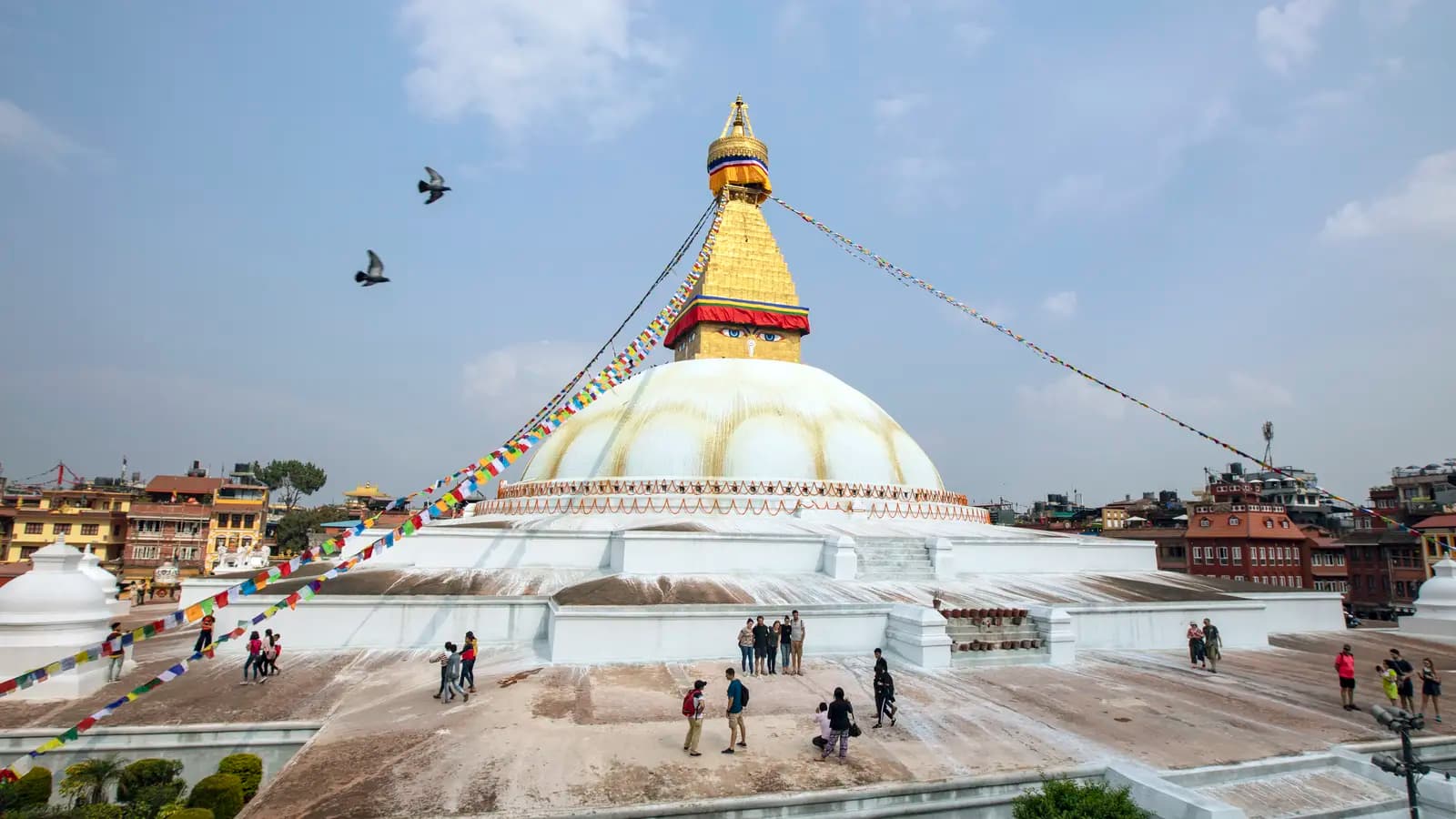 Delhi to Kathmandu: River Walks & Epic Wildlife