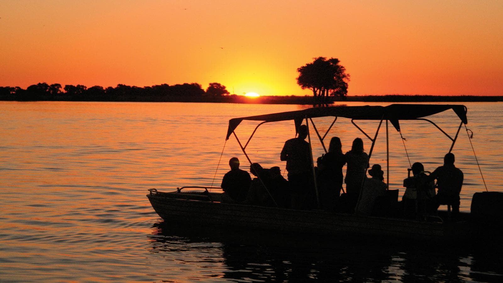 Botswana Safari