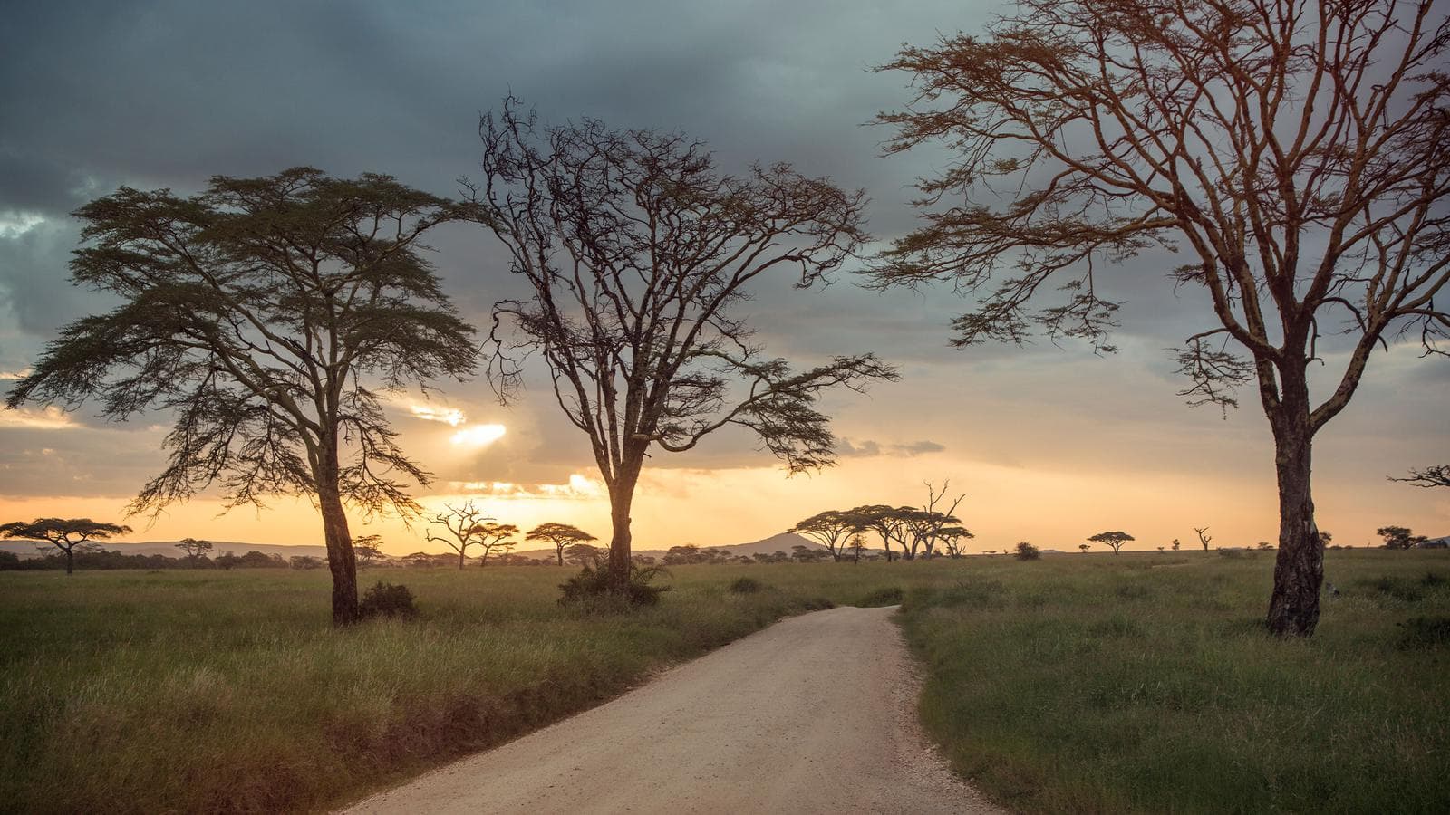 Upgraded East Africa Safari