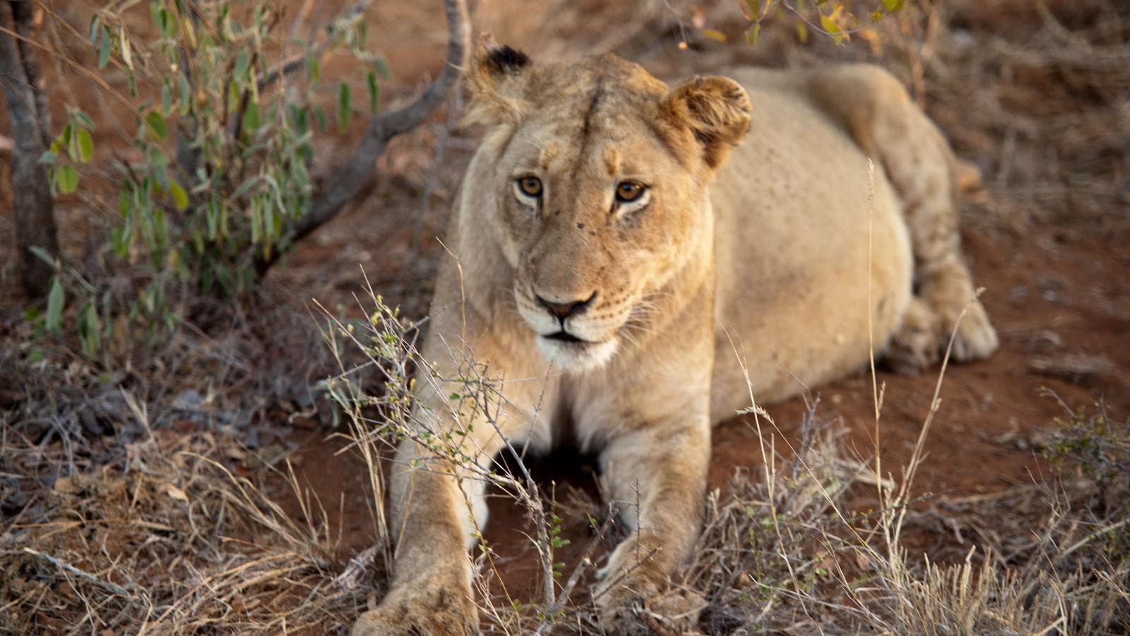Southern Africa Adventure