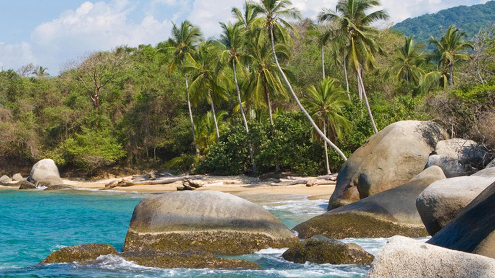 Colombia's Lost City to the Caribbean