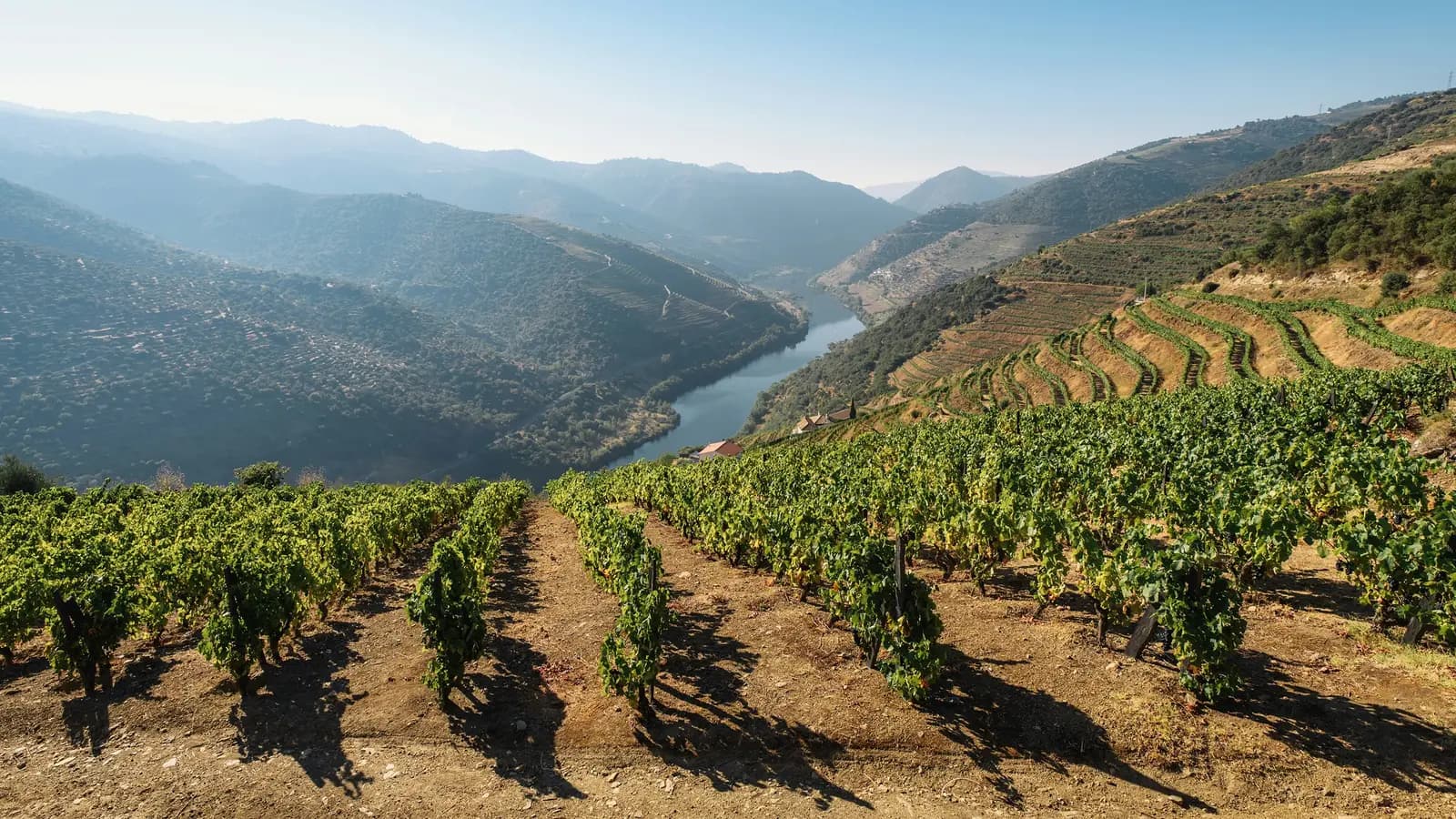 Signature: Portugal's Porto, Douro Valley, & Lisbon