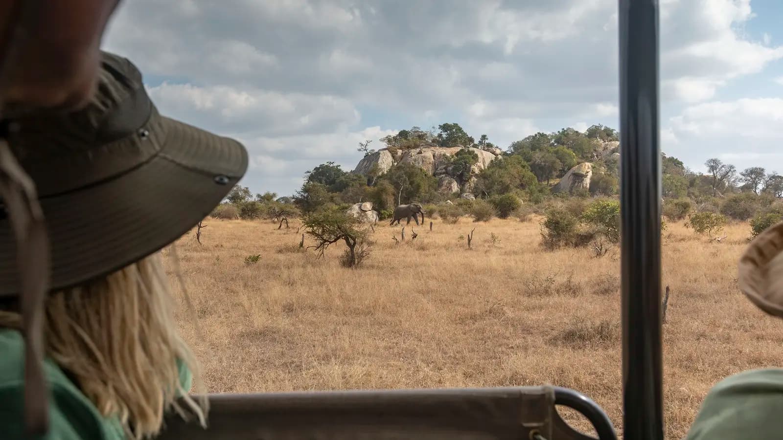 Journeys: Explore Kruger National Park