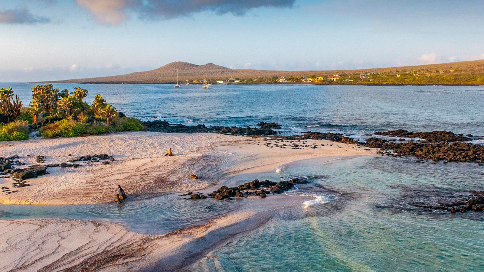 Galápagos — Central, East & South Islands aboard the Xavier III