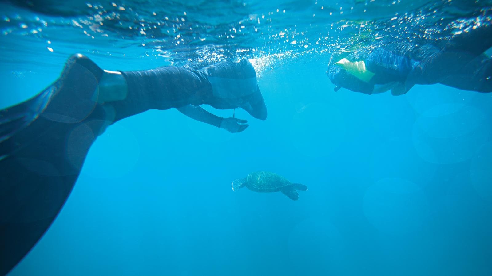 Galápagos Central Islands & Inca Discovery