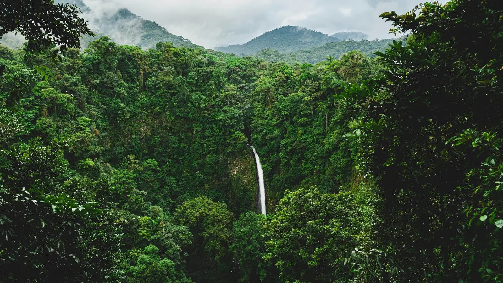 Signature: Costa Rica's Monteverde, Arenal & Guanacaste