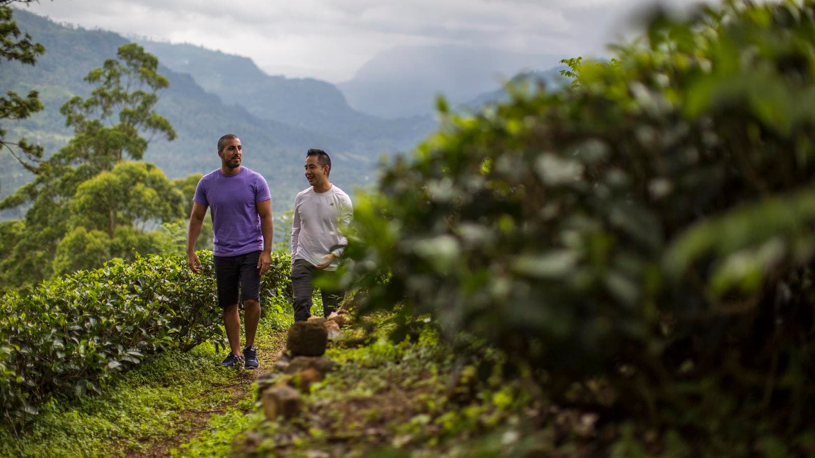 Journeys: Discover Sri Lanka