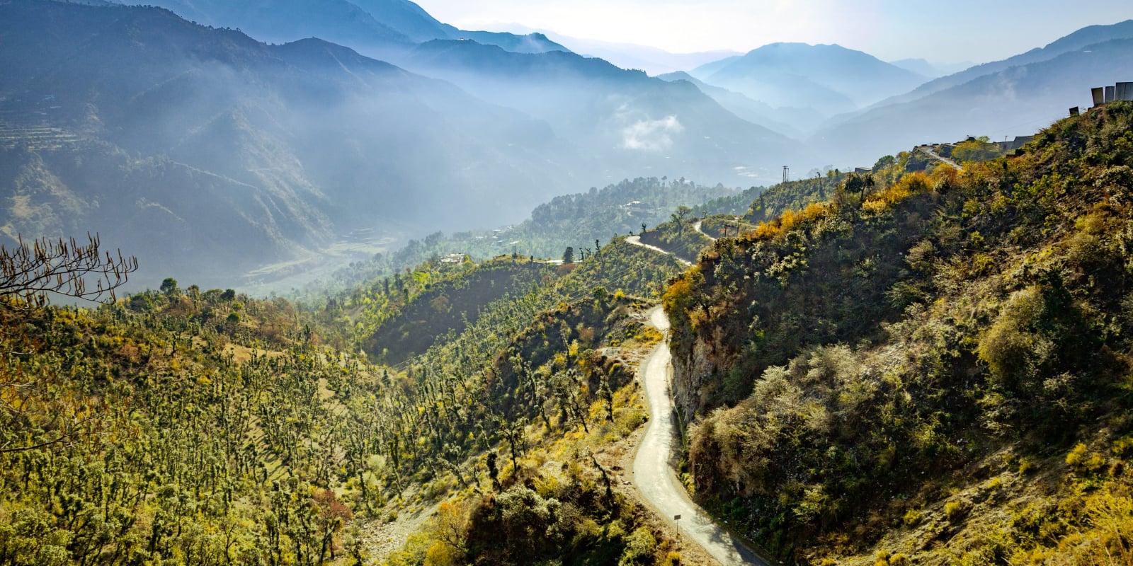Shimla & Amritsar