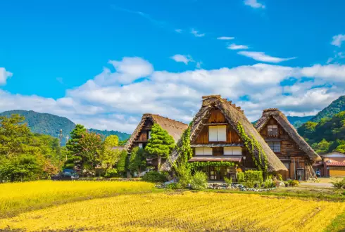 Discover Japan