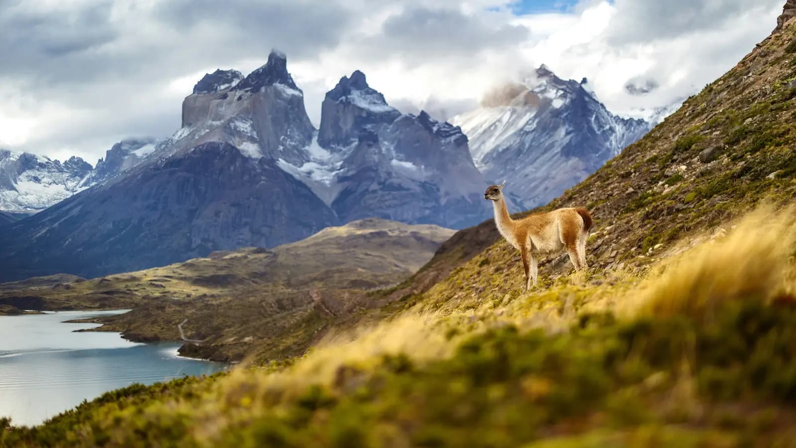 Signature: Argentina, Chile & the Heart of Patagonia