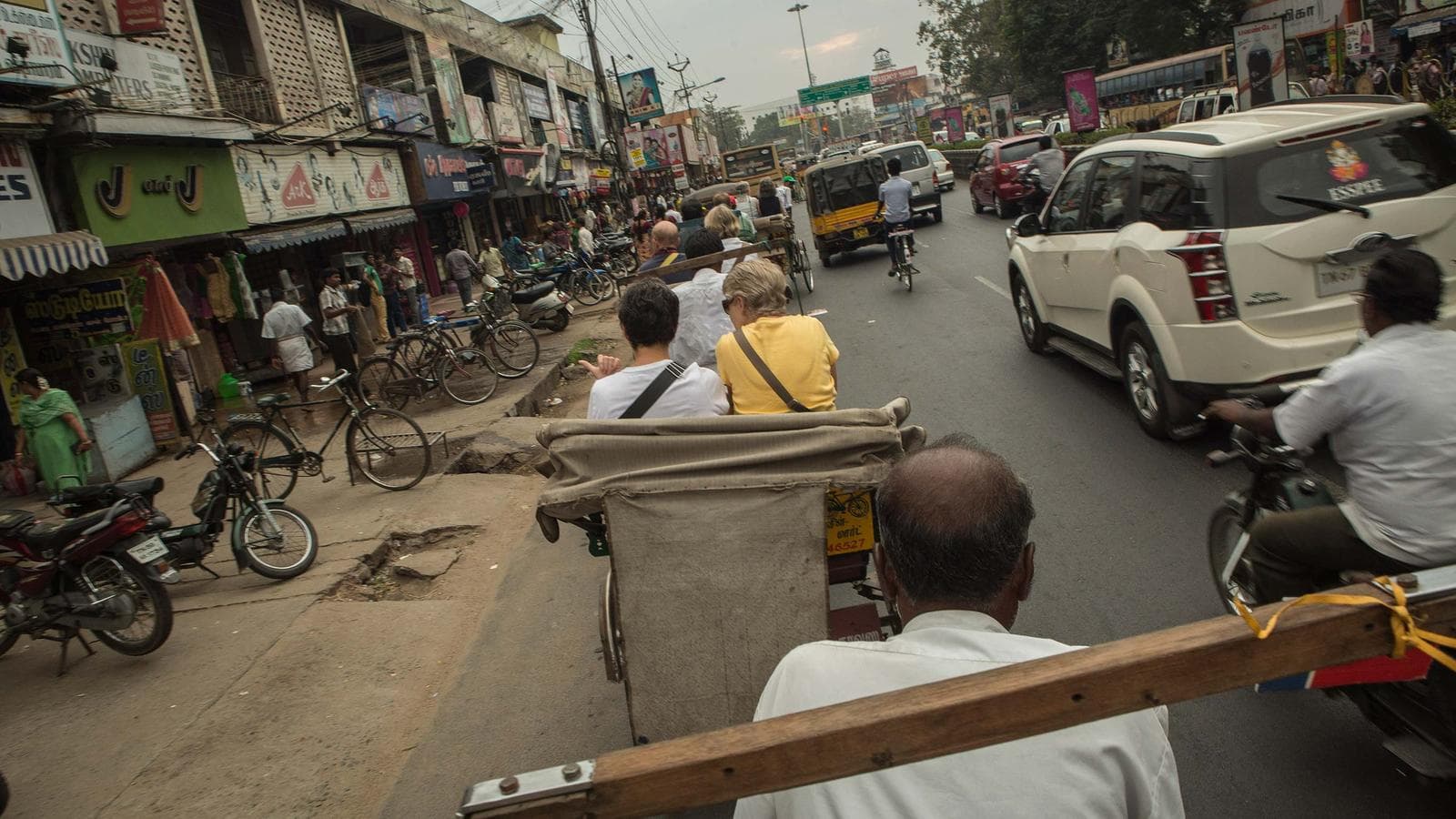 Delhi Day Tour: Cycle Qutab Minar and Meharuli (half day)