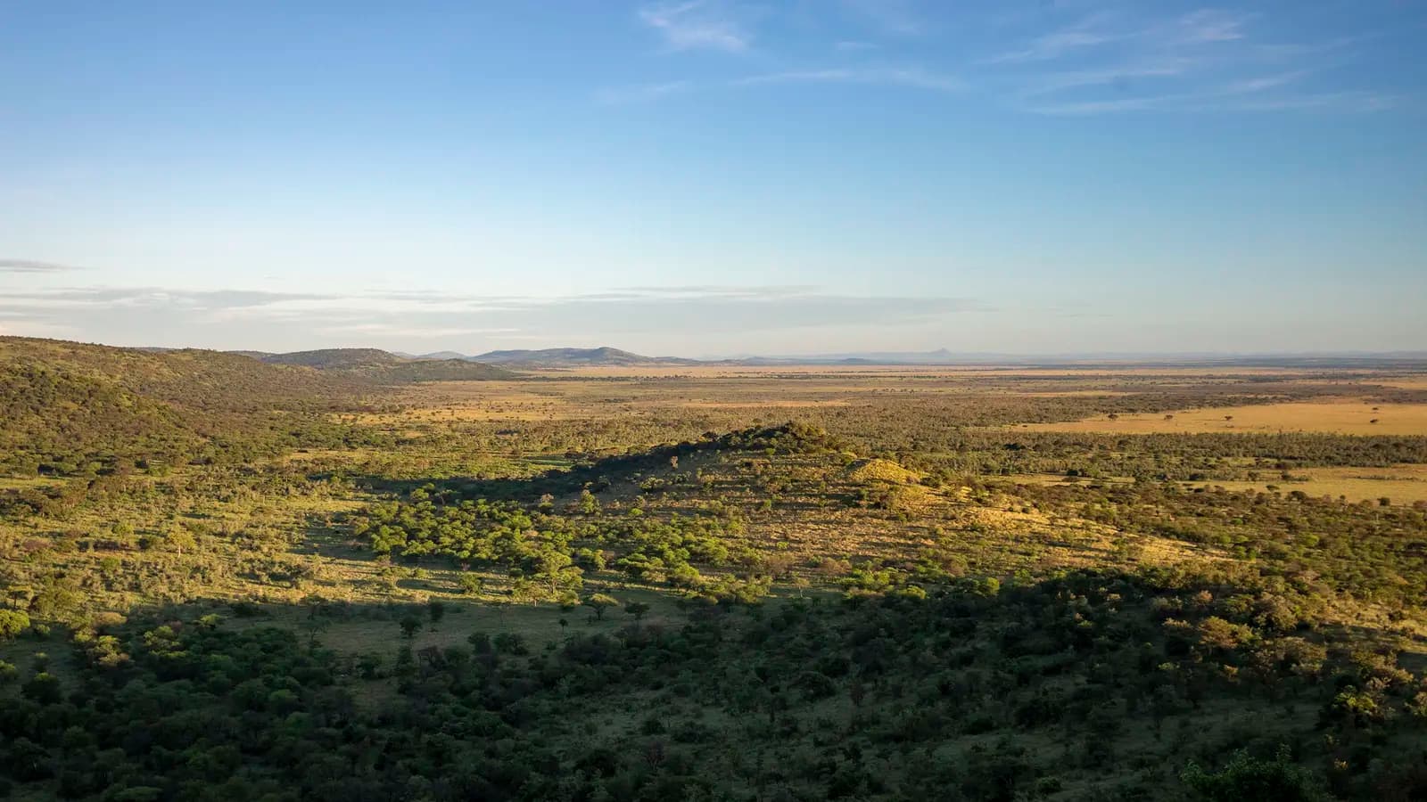 Kenya and Tanzania: Safari Adventures & Coastal East Africa