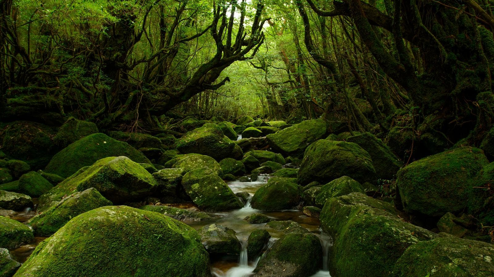 Explore Southern Japan