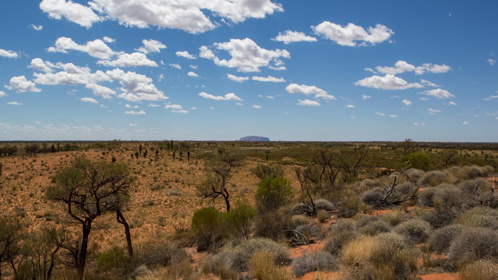 Outback to the Red Centre: Adelaide to Alice Springs