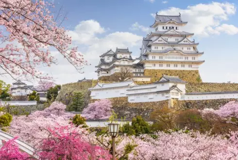 Japan Uncovered