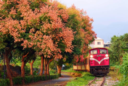 Taiwan by Rail